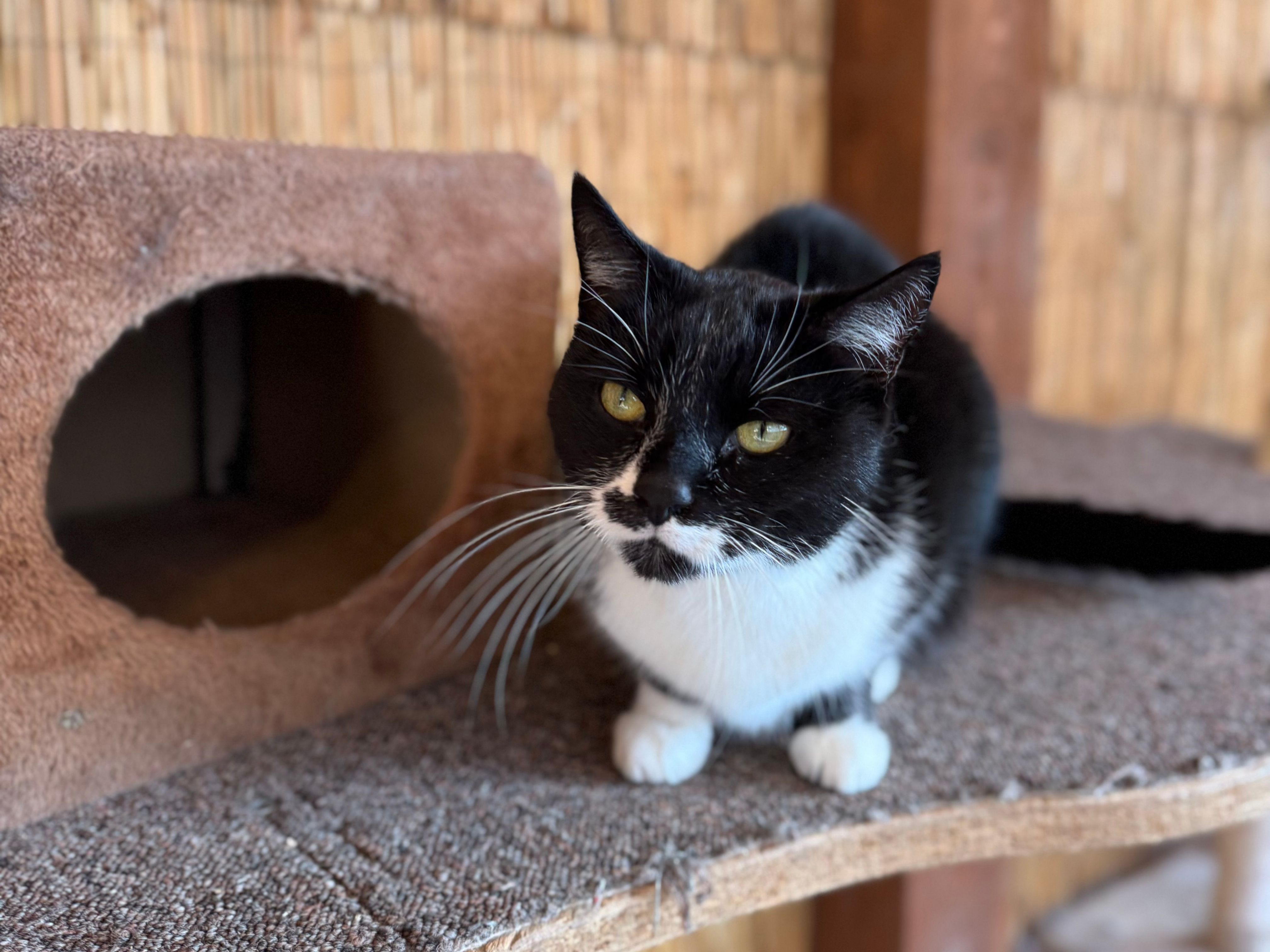 Návrh bez názvu (15)